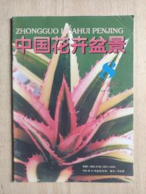 中国花卉盆景 2001年第8期（总第198期）