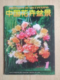 中国花卉盆景 2001年第1期（总第192期）