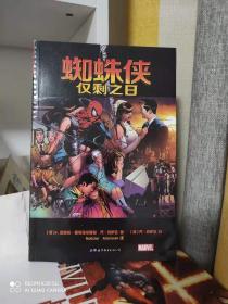 蜘蛛侠：仅剩之日