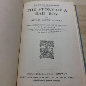 THE STORY OF A BAD BOY