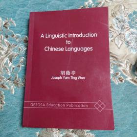 A Linguistic Introduction to Chinese Languages