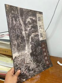 中国当代绘画范本：游兴茂山水画精选