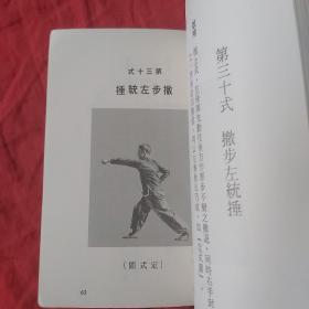 梅花手拳（螳螂拳术丛书）