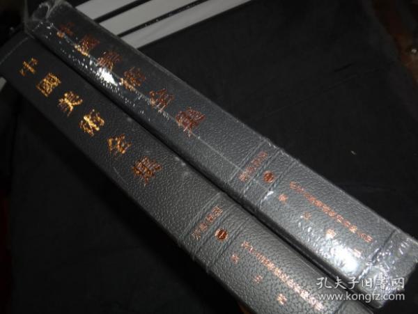 中国美术全集 宗教雕塑 套装全2册