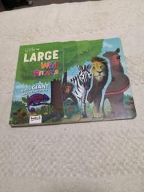 Little to Large Wild Animals