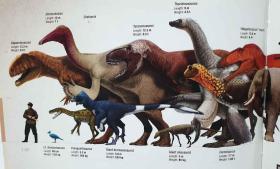 预售恐龙百科全书兽脚类恐龙The Encyclopedia of Dinosaurs : The Theropods