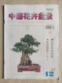 中国花卉盆景 1997年第12期（总第155期）