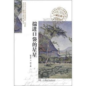 揣进口袋的星星