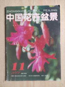 中国花卉盆景2001年第11期（总第202期）