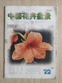 中国花卉盆景 1999年第12期（总第179期）