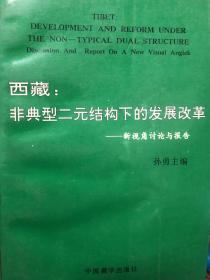 西藏 : 非典型二元结构下的发展改革 : 新视角讨论与报告