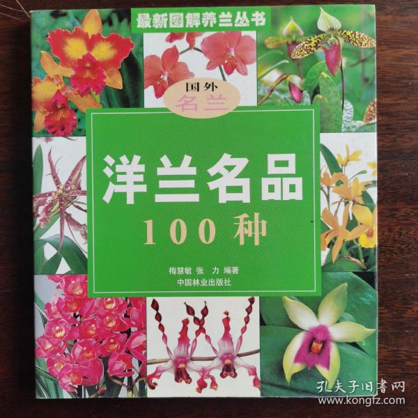 洋兰名品100种