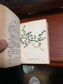福州中草药临床手册（全彩色）
