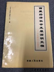 西藏经济社会发展简明史稿:文化进化个例探讨