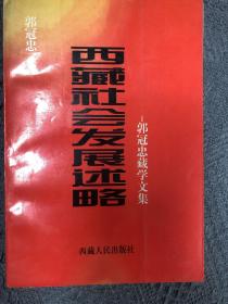 西藏社会发展述略:郭冠忠藏学文集