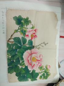 70－80年代牡丹花工笔画稿-2