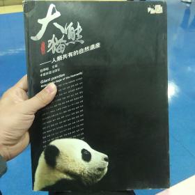 大熊猫：人类共有的自然遗产（繁体中文版）（119）