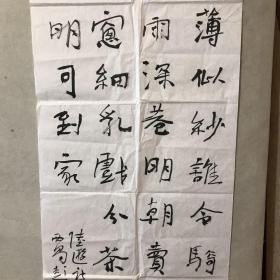 四川书家·苏志福·行书《陆游诗》