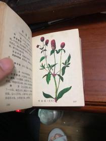 福州中草药临床手册（全彩色）