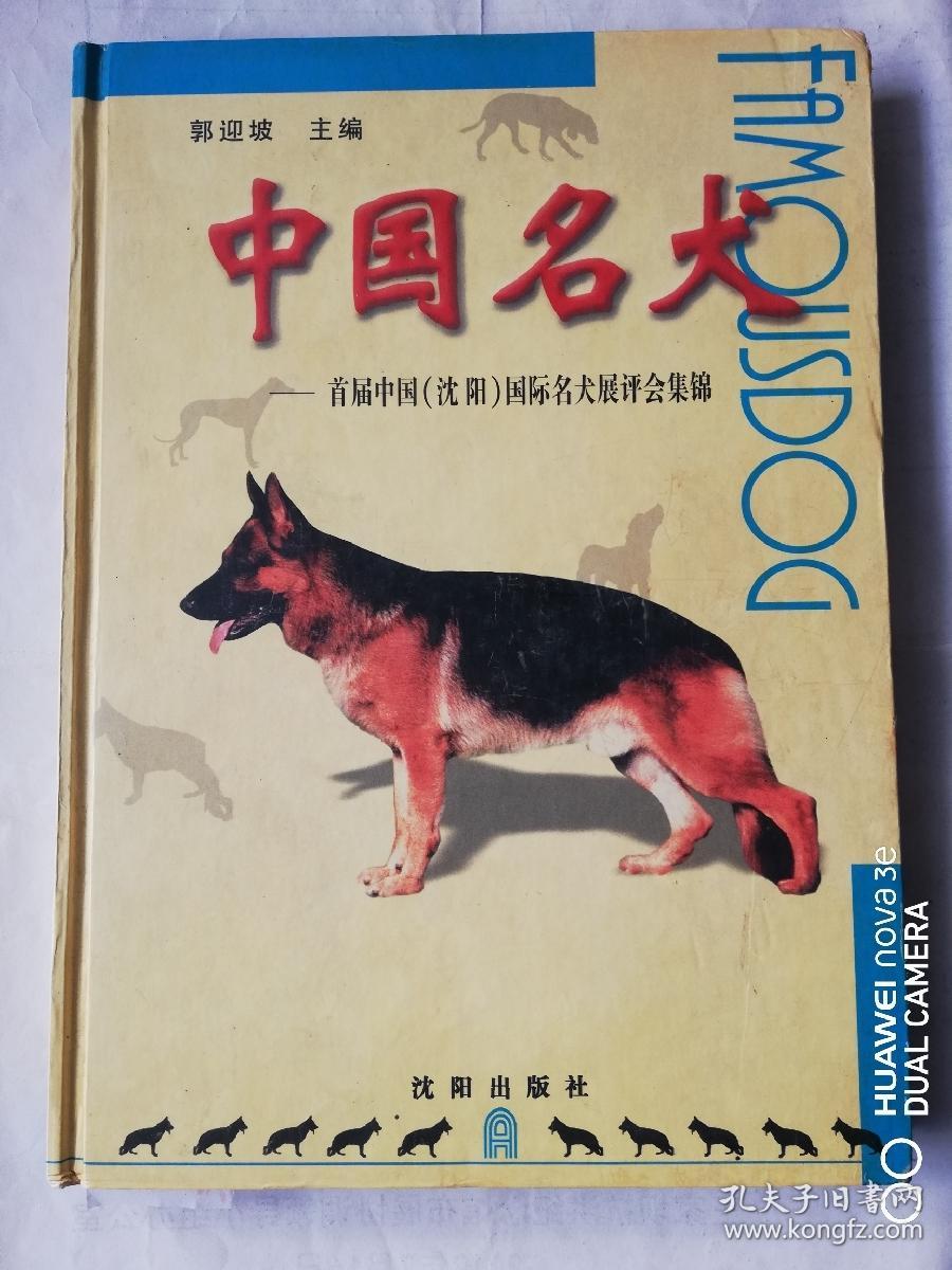 中国名犬首届中国沈阳国际名犬展评会集锦