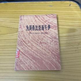 为莫桑比克而斗争