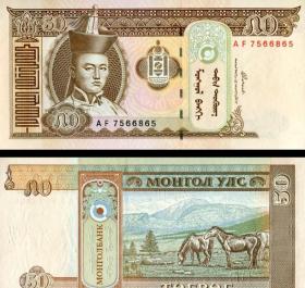 念椿萱-外国纸币 蒙古0064C 2013年50图格里克+++