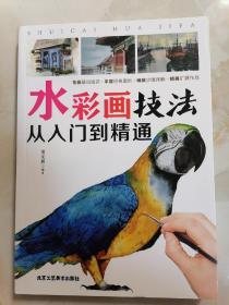 水彩画技法 从入门到精通