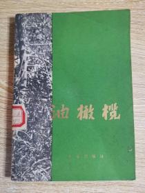 油橄榄