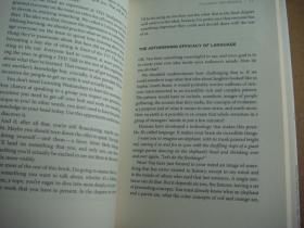 TED Talks: The Official TED Guide to Ppublic Speaking 英文原版 精装24开+书衣 近全新