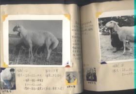 湖北省地方家畜良种图谱（稿本）