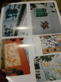 墙饰艺术（包邮）