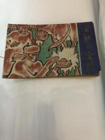 金貂与宝驴