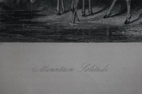 【百元包邮】《山中幽静》（Mountain Solitude）--  1840年代  钢版画 纸张尺寸约27.3×20.3厘米（货号202053）