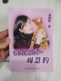 我的猫儿子周慧豹