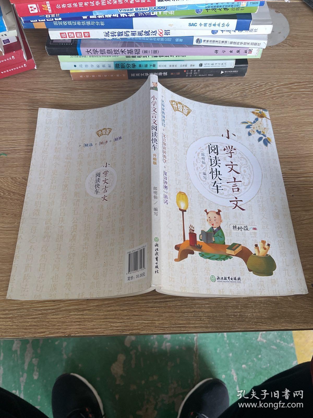 小学文言文阅读快车:升级版