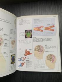 人体：人体结构、功能与疾病图解（精装本）