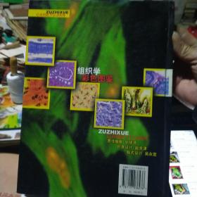 组织学彩色图鉴