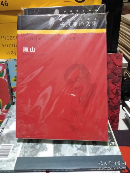 杨武能译文集：魔山：德语文学精品