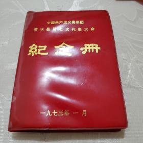中国共青团泗水县第七次代表大会