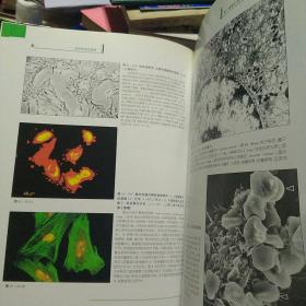 组织学彩色图鉴