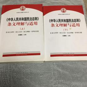 中华人民共和国民法总则 条文理解与适用（套装上下册）