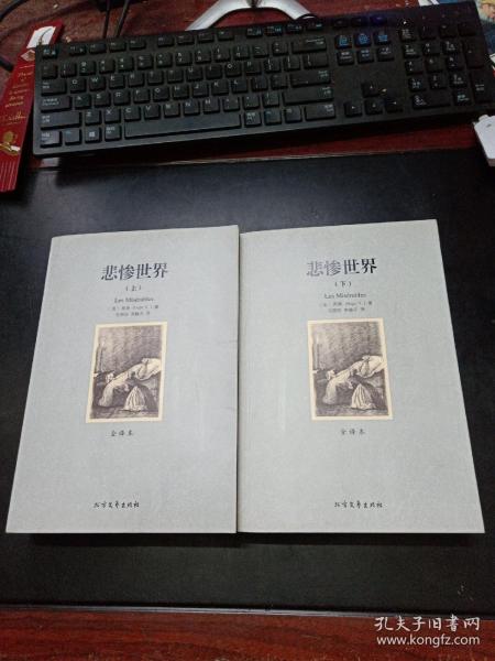 世界文学名著:悲惨世界(全译本)(套装共2册)