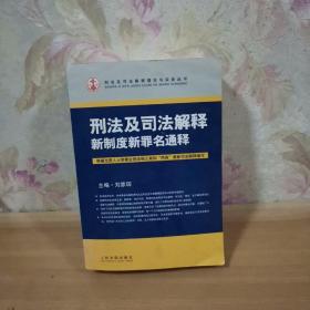 刑法及司法解释新制度新罪名通释