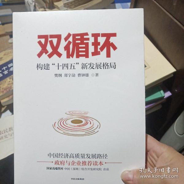 双循环构建十四五新发展格局双循环与我们的关系樊纲作品国家高端智库出品政府和企业推荐读本