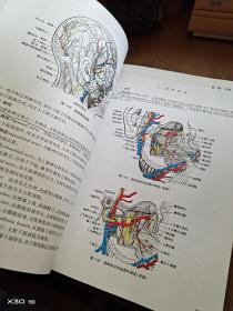 人体解剖学（第3版）/全国高等学校医药学成人学历教育（专科起点升本科）规划教材
