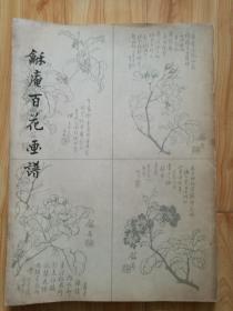 龢庵百花画谱