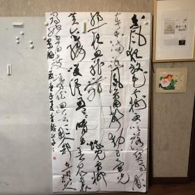 重庆青年书家·谭青龙·投展入选作品