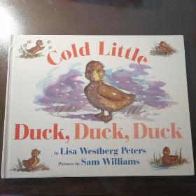 ColdLittleDuck,Duck,Duck