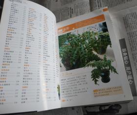 500种盆栽花卉经典图鉴。A27。