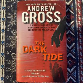 【英文原版小说】THE DARK TIDE by Andrew Gross New York Times Bestseller